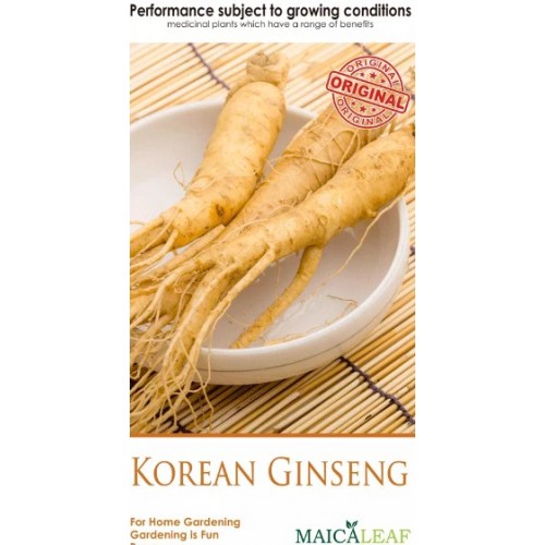 jual bibit ginseng korea jual bibit ginseng korea